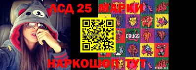 apvp Гусев